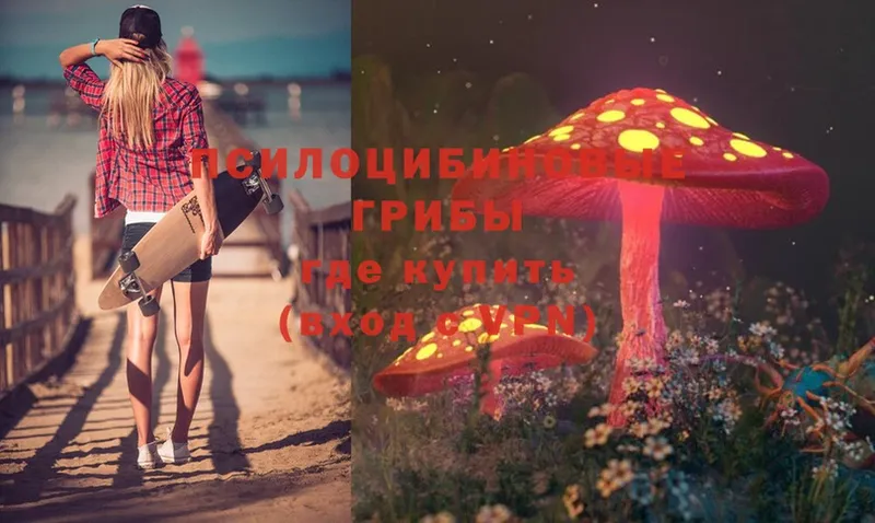 Псилоцибиновые грибы Magic Shrooms  где продают   Новоуральск 