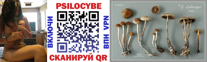 omg зеркало Новоуральск Псилоцибиновые грибы Magic Shrooms