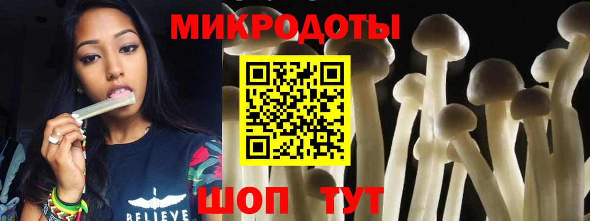 Новоуральск  Псилоцибиновые грибы MAGIC MUSHROOMS  Вход с VPN 