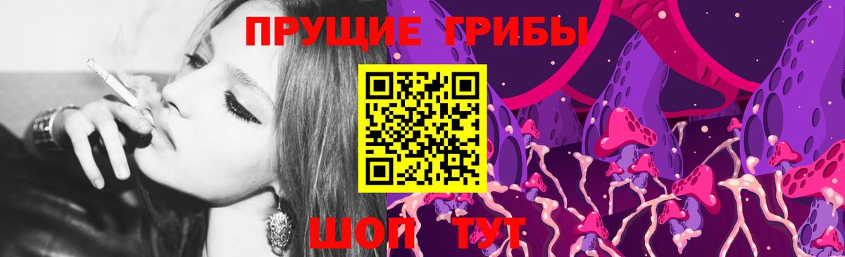 Псилоцибиновые грибы Psilocybe Новоуральск